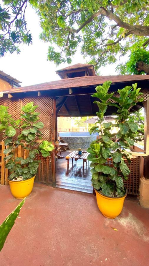 فندق سانتو دومينجوفي  Mansion Colonial Dona Elvina المظهر الخارجي الصورة